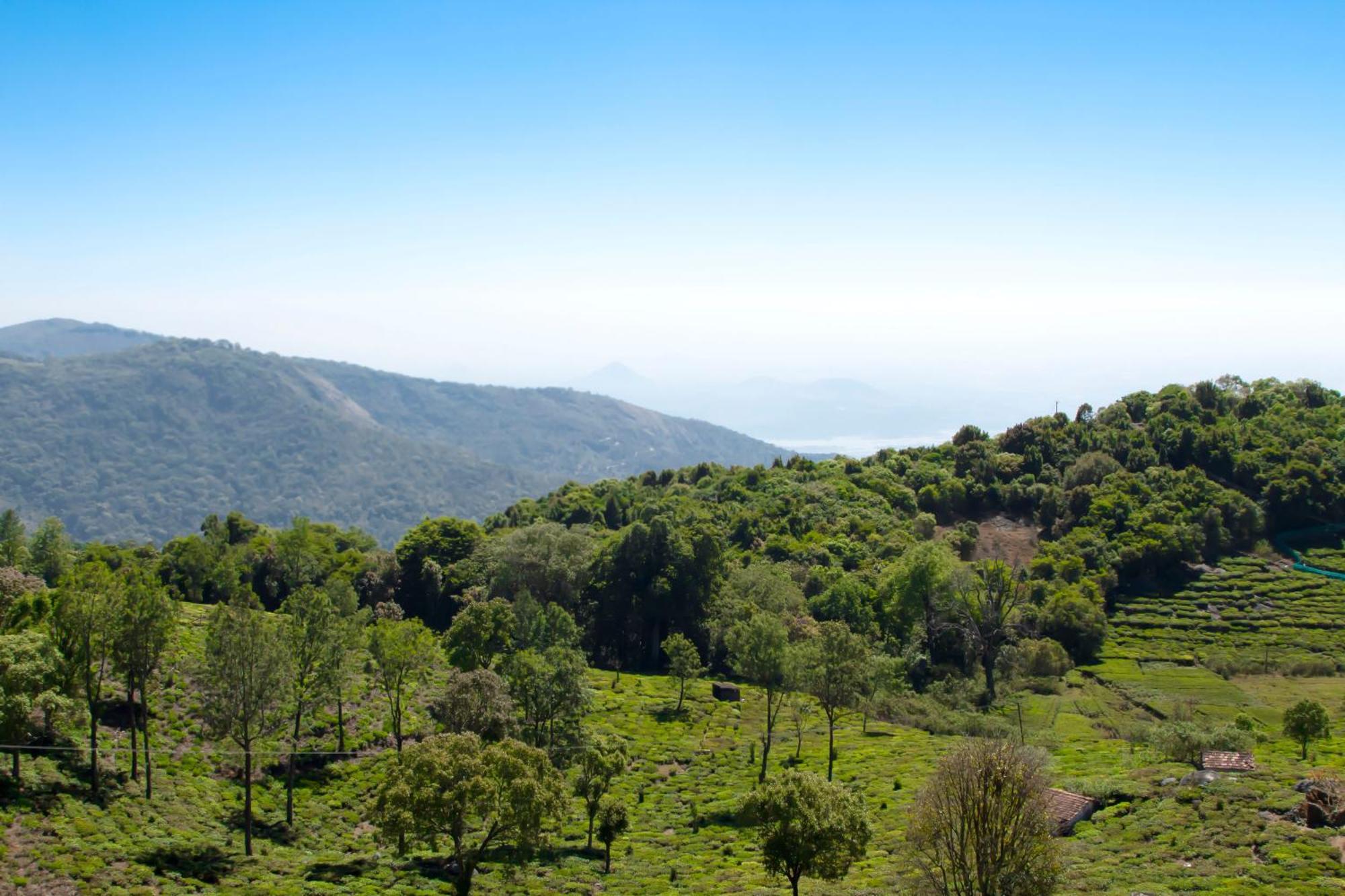 Hotel The Royale Ridge Kotagiri Exterior foto